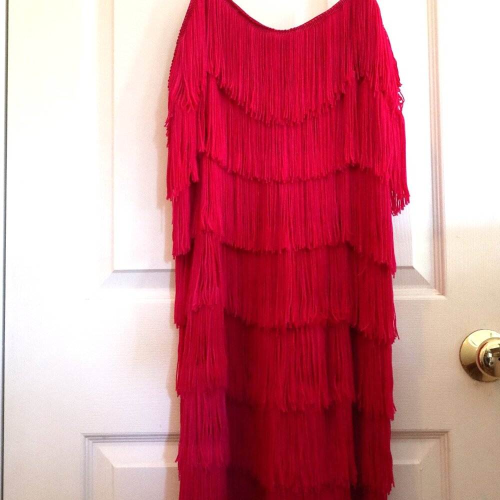 Hot Pink 1920's Flapper Style Dress